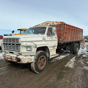 1980 FORD F700 S/A DUAL GRAIN TRUCK-NOT RUNNING - NO KEYS