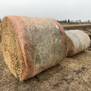 1 1/2 - 2025 RD ALFALFA & GRASS MIX BALES