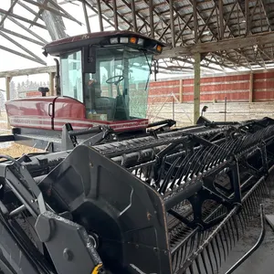 2007 Premier 2940 Swather with 21ft MacDon Header