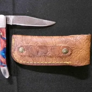 Folding Pocket Knife With Sheath