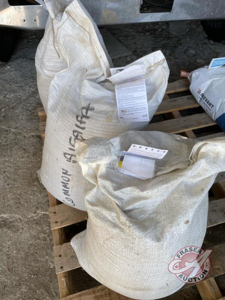 Bag of Alfalfa Seed @ 55 LBS<br/>Common # 1