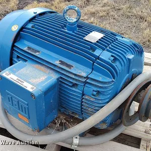 Weg electric motor
