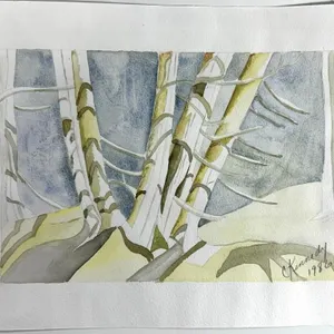 C. KENNEDY BIRCH TREE STUDY 1986 WATERCOLOR