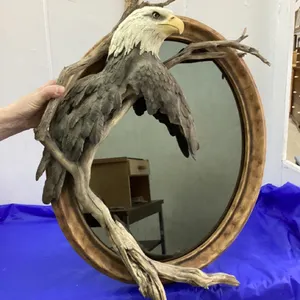 HEAVY OVAL DARKER MIRROR W/RESIN EAGLE HEAD + RESIN WOOD