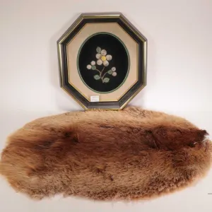Moose tufting in octagonal frame, overall dimensions 11-1/2" x 10-1/2", and a 20" x 15" beaver pelt