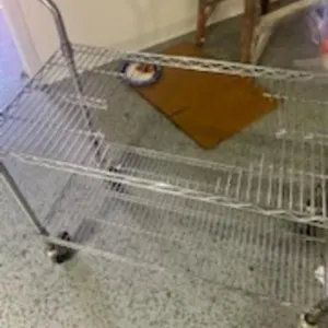 Metal Cart