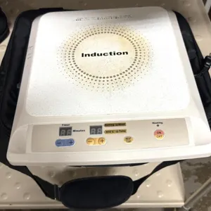 Induction Range w/ Case 110V, Works