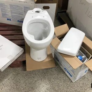 Saniflush Toilet
 UNRESERVED