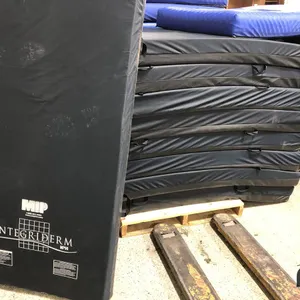 (10) Foam Mattresses/Gymnasium Mats (Approx. 36" x 80")
 UNRESERVED