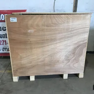 Yangza Walk-Behind Floor Scrubber
 UNRESERVED