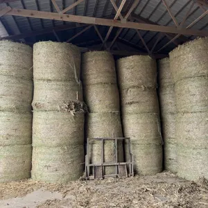 64 - 4x6 Round Bales Corn Fodder