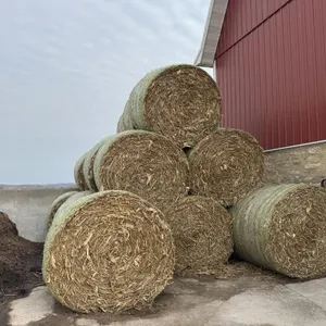 25 - 4x6 Round Bales Corn Fodder