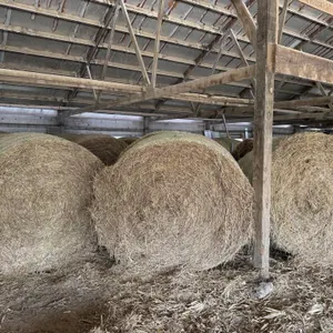 31 - 4x6 Round Bales Straw
