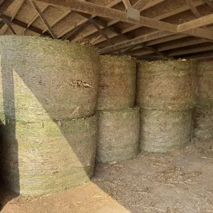 60 - 4x6 Round Bales Corn Fodder