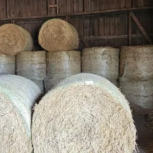 27 - 4x5 Round Bales Straw