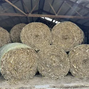 110 - 4x6 Round Bales Corn Fodder
