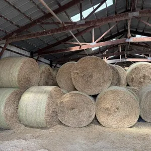 130 - 4x6 Round Bales Straw