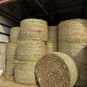 72 - 4x6 Round Bales Corn Fodder