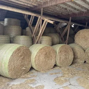 250 - 4x6 Round Bales Straw