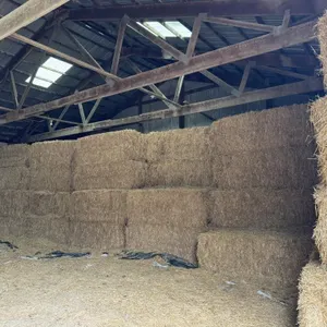87 - 3x3x8 Large Square Bales Straw