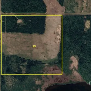 Melfort, SK SW 21-42-19-W2 154.89 +/- Acres on Title Farmland