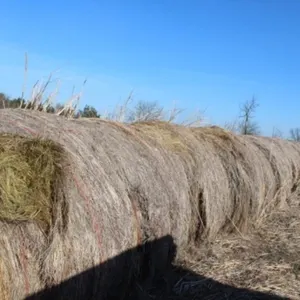 61 Bales of 2024 & 2025 Brome/Fescue Mix Hay