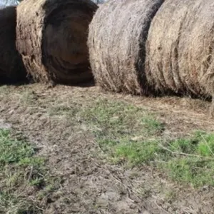 18 Bales of 2025 Brome/Fescue Mix Hay