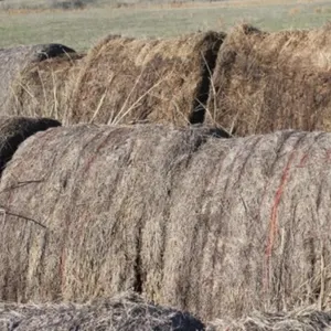 36 Bales of 2025 Brome/Fescue Mix Hay
