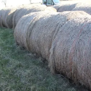 27 Bales of 2025 Brome/Fescue Mix Hay