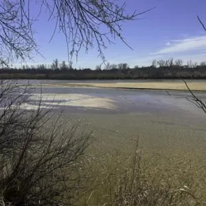 Tract #3: 74.22 +/- Acres