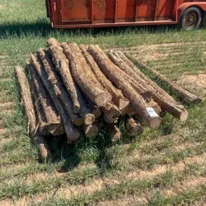 Cedar fence post