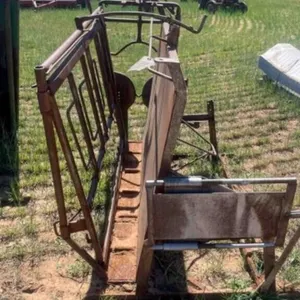 old calf working chute