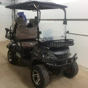 2026 Unused Golf Cart Sdlgc80