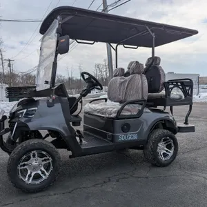 Unused 2026 SDLanch Golf Cart                                Model #: SDLGC80     ***ASSEMBLED***