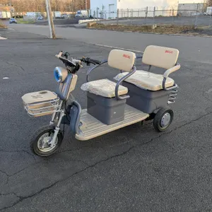 Unused 2026 SDLanch Electric Tricycle / Mini Golf Cart                                                             Model #: IRGC40                    