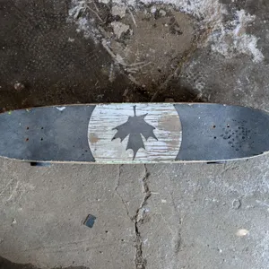 43" Skate board