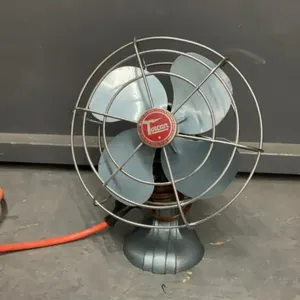 SMALL ANTIQUE TORCAN FAN