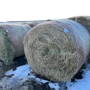 6 - 2025 2ND CUT ALFALFA/30% GRASS MIX 5X5 RD BALES  - SOLD PER BALE - LOCATED IN THE SOUTH YARD