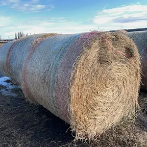 6 - 2025 2ND CUT ALFALFA/30% GRASS MIX 5X5 RD BALES  - SOLD PER BALE - SOLD OFFSITE ECKVILLE