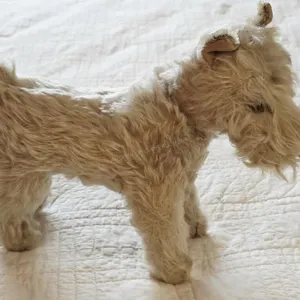Antique Steiff Dog/Terrier