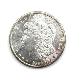 1881-S Morgan Dollar 
- toned