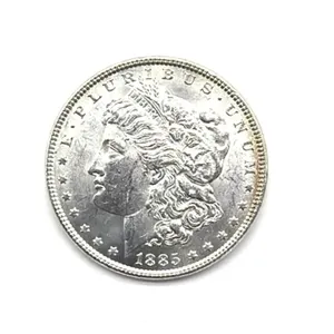 1885 Morgan Dollar