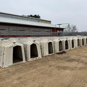 20 Calf Tel Calf Hutches