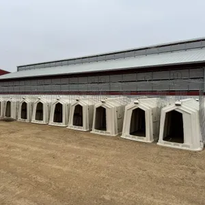 20 Calf Tel Calf Hutches
