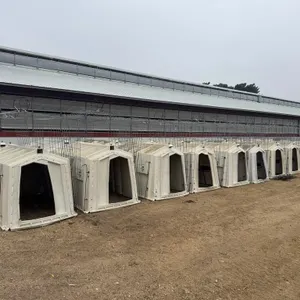 20 Calf Tel Calf Hutches
