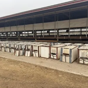 30 New Born Calf Crates