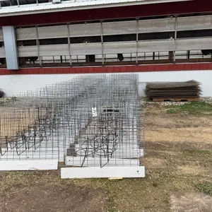 50 Wire Calf Pens