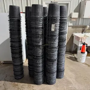 300 +/- Calf Buckets