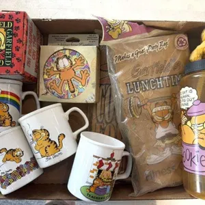 Garfield Mugs, Paper Bags, Water Bottle, and