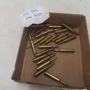 Rem Mag Ammo – 23 Rounds
